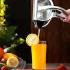 Fruchtpresse