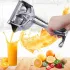 Fruchtpresse