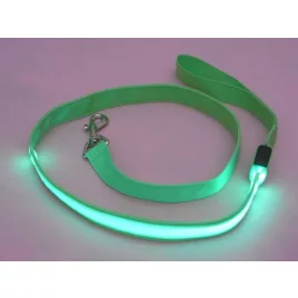 Leuchtende Leine