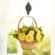 Hebezug für Hängende Blumenhalter