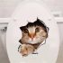 3D Katzenaufkleber