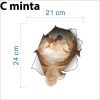 C Muster
