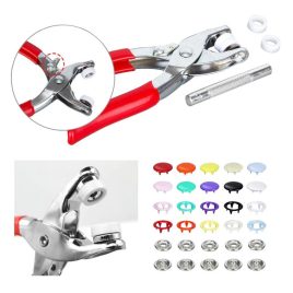 Patentset (100 Stk.)