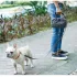 Leine mit Tasche