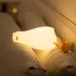 Leuchtende Ente, Nachtlicht