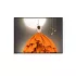 Sicherung Versteck Bild
