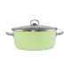 Grüner Elite emaillierter Topf 26 cm + Glasdeckel