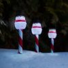 Schneemann