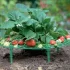 Gartenständer für Erdbeeren