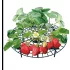 Gartenständer für Erdbeeren