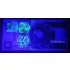 Batteriebetriebener Hand-Banknotenprüfer (UV und Taschenlampe)