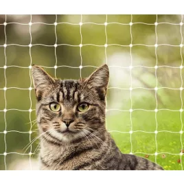 Katzennetz