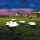 LED-Solarleuchte - Hundepfoten, steckbar, schwarz - 360 cm