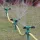 360° Automatischer Gartensprinkler
