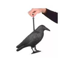 Vogelalarm