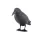 Vogelscheuche Krähe