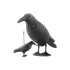 Vogelscheuche Krähe