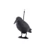 Vogelscheuche Krähe