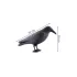 Vogelscheuche Krähe