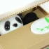 Panda Spardose