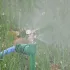 Wasserzerstäuber, Luftbefeuchterdüse, kühlender Wassernebel