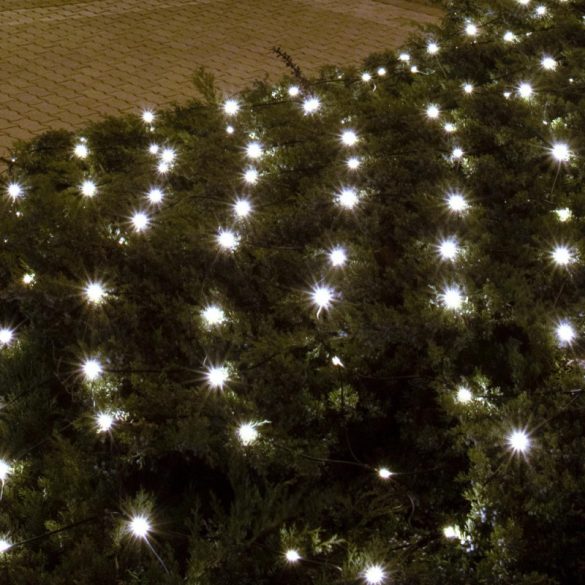 LED-Außenlichternetz