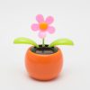 Blume