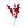 Family Weihnachtsdekoration - rote Beeren - 8 cm - 6 Stk./Packung