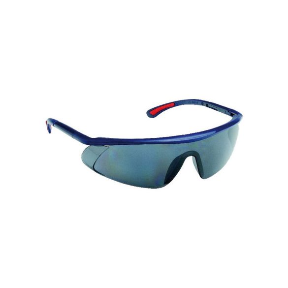 BARDEN Brille rauchgrau AF, AS, UV, verstellbare Bügel, beschlagfrei, kratzfest, PC-Sichtfeld