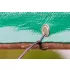 NEO TOOLS Kabelbinder, Schnellbinder, EXTREME, UV-beständig, schwarz, 3,6x150mm, 100Stk./Pkg 01-626