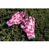 VERTO Gartenhandschuh, Polyester, Blumenmuster, 7", KAT I. 97H146