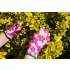 VERTO Gartenhandschuh, Polyester, Blumenmuster, 7", KAT I. 97H146
