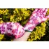 VERTO Gartenhandschuh, Polyester, Blumenmuster, 9", KAT I. 97H148