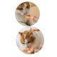 Lustige Mini-Fingerhände für Katzenbesitzer