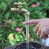 Schwimmender Gartenhahn-Deko