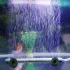 Verstellbarer Luftkompressor-Belüfter für Aquarien