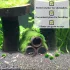 Tonröhre aus Ton für Fische und Garnelen, Aquariendekoration