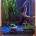 Tonröhre aus Ton für Fische und Garnelen, Aquariendekoration