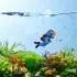 2er-Set Charmante Taucher Aquarium Dekorationen