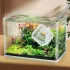 Ausziehbares Edelstahl-Aquariennetz