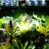 1 verstellbare Nebeldüse für Terrarium
