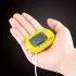 1 Stk. Doppel-Celsius- und Fahrenheit-Aquariumthermometer mit Saugnapf