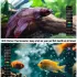 6 Stück Digitale Thermometerstreifen für Aquarien