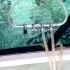 Premium Edelstahl Aquarium Belüftungszubehör