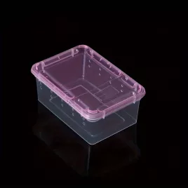 Transparenter Reptilienträger