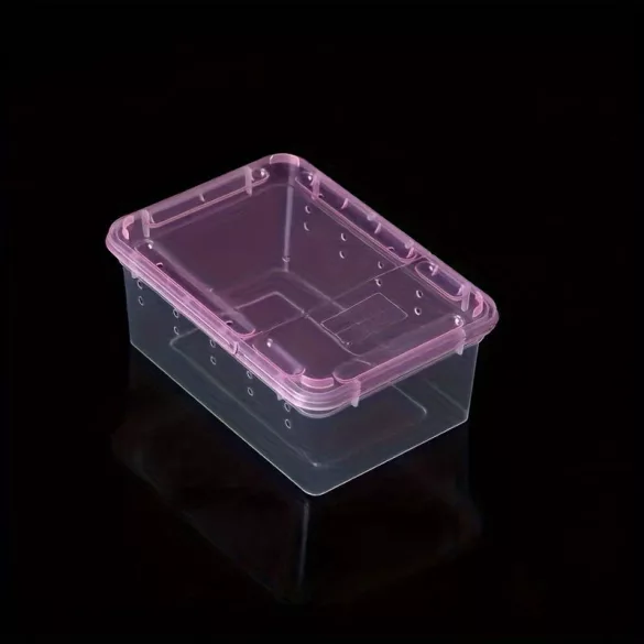 Transparenter Reptilienträger