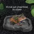 Künstlicher Felsen Graue Wasserschale für Echsen, Chamäleons und Schildkröten
