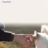 4 Stück Natürliche, Handgemachte Katzenbälle
