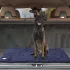 1 Stk Tragbare und Zusammenklappbare Hundedecke, Wasserdicht, Leicht zu Reinigen Hundekäfigunterlage