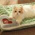 Ultra-Weiches Plüsch Katzenbett - Luxus Haustierbett mit Memory-Schaum, Abnehmbarer und Waschbarer Bezug
